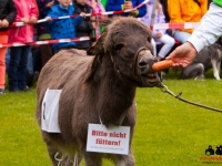 eselrennen-2013-in-berglen-19-05-2013_0027