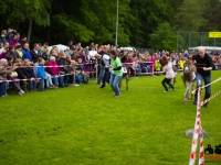 eselrennen-2013-in-berglen-19-05-2013_0032