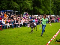 eselrennen-2013-in-berglen-19-05-2013_0036