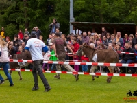 eselrennen-2013-in-berglen-19-05-2013_0037