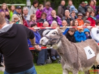 eselrennen-2013-in-berglen-19-05-2013_0039