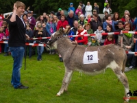 eselrennen-2013-in-berglen-19-05-2013_0041