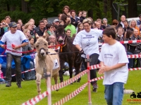 eselrennen-2013-in-berglen-19-05-2013_0051