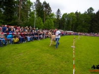 eselrennen-2013-in-berglen-19-05-2013_0055