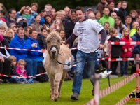 eselrennen-2013-in-berglen-19-05-2013_0058