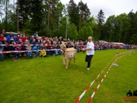 eselrennen-2013-in-berglen-19-05-2013_0063