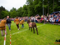 eselrennen-2013-in-berglen-19-05-2013_0064