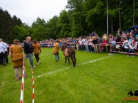 eselrennen-2013-in-berglen-19-05-2013_0065_0