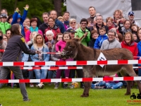 eselrennen-2013-in-berglen-19-05-2013_0079