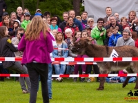 eselrennen-2013-in-berglen-19-05-2013_0080