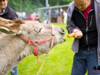 eselrennen-2013-in-berglen-19-05-2013_0121