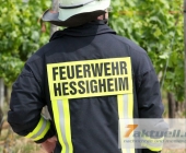 felsen-0041