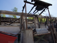brandfirma-tag-0001