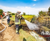 Vahrlässiges Feuer im Gartengrundstück führt zu Flächenbrand
