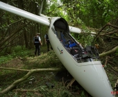 Segelflieger stÃ¼rzt im Waldgebiet ab - Familienvater schwer verletzt