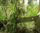 Segelflieger stÃ¼rzt im Waldgebiet ab - Familienvater schwer verletzt