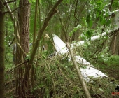 Segelflieger stÃ¼rzt im Waldgebiet ab - Familienvater schwer verletzt