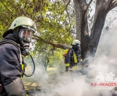 Brandstifter schlägt am helligten Tag zu - Nachbarn in Angst - In Ossweiler Gartensiedlung brennt ein Gartenhaus ab