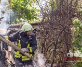 Brandstifter schlägt am helligten Tag zu - Nachbarn in Angst - In Ossweiler Gartensiedlung brennt ein Gartenhaus ab
