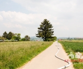 Brandstifter schlägt am helligten Tag zu - Nachbarn in Angst - In Ossweiler Gartensiedlung brennt ein Gartenhaus ab