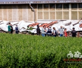 Großbrand in Remseck - Landkreise Helfen sich aus -  Waffenfund bei Löscheinsatz - Feuerwehrmann verletzt