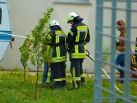 lichtenberg-0021