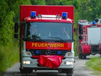 lichtenberg-0025