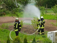 lichtenberg-0038
