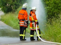 lichtenberg-0054