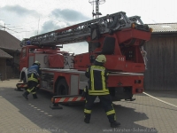 lichtenberg-0075