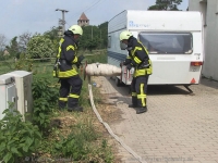 lichtenberg-0081