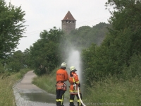 lichtenberg-0116