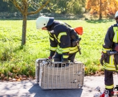 feuerwehr-grundausbildung-marbach-19-10-2013_-0033