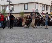 bung_leonberg-0082