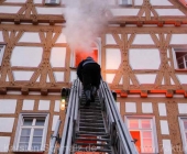 bung_leonberg-0232