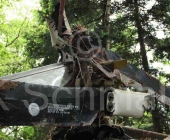 bussard-0024