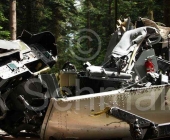 bussard-0045