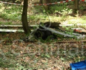 bussard-0051