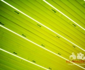 Kunstvolle Impression: "Interschutz 2015"