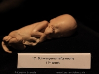 koerperwelten-0076