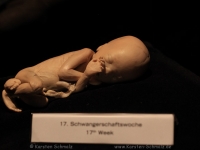 koerperwelten-0077