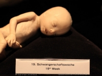 koerperwelten-0079