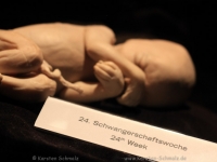 koerperwelten-0080
