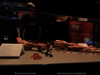 koerperwelten-0102