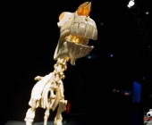 Impression KOÌRPERWELTEN der Tiere 2014 aus Ludwigsburg