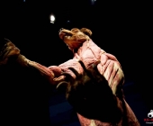 Impression KOÌRPERWELTEN der Tiere 2014 aus Ludwigsburg