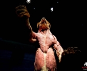 Impression KOÌRPERWELTEN der Tiere 2014 aus Ludwigsburg