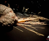 Impression KOÌRPERWELTEN der Tiere 2014 aus Ludwigsburg