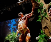 Impression KOÌRPERWELTEN der Tiere 2014 aus Ludwigsburg