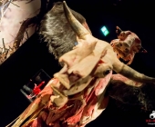 Impression KOÌRPERWELTEN der Tiere 2014 aus Ludwigsburg